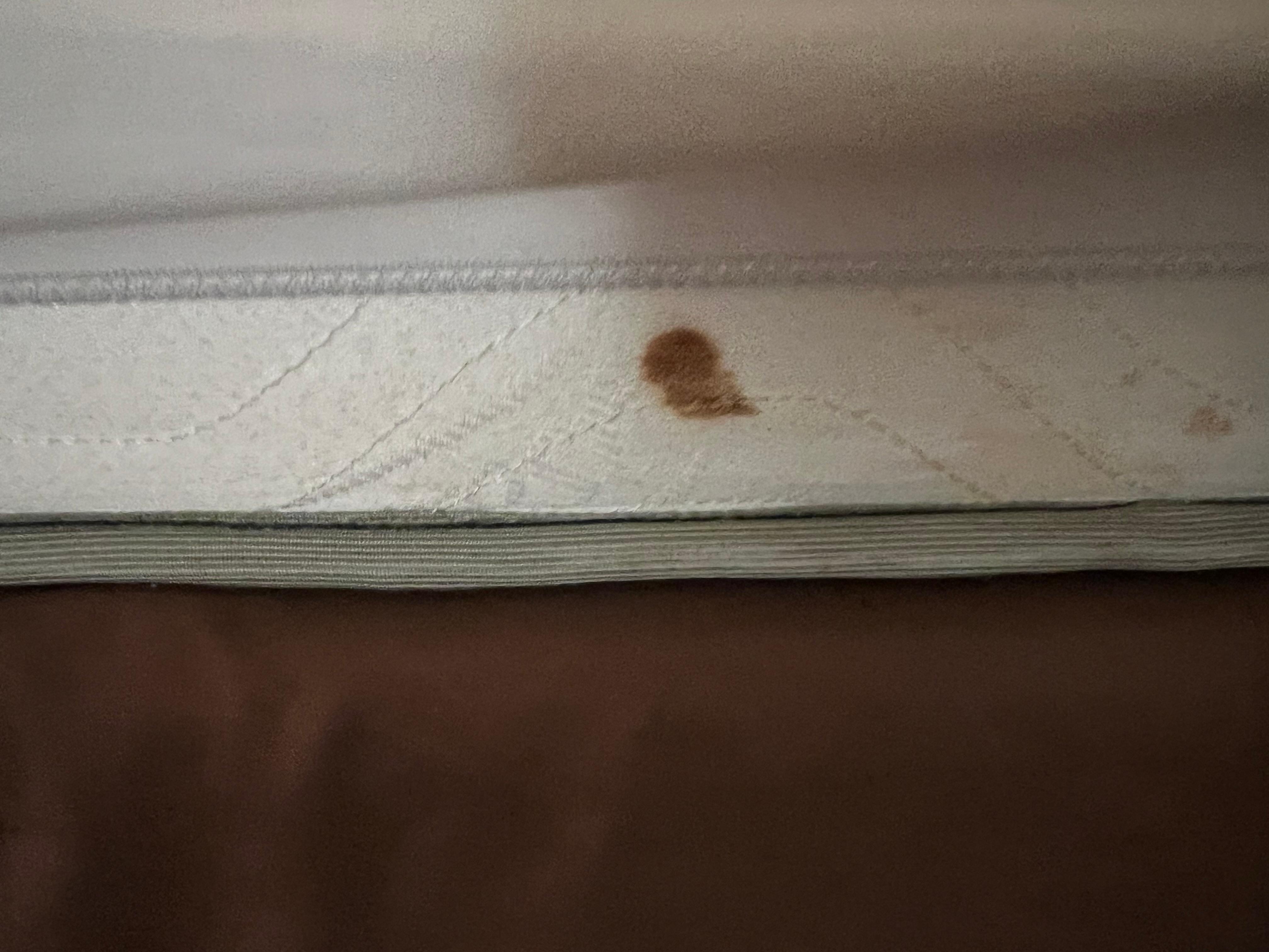 One of several stains on the side of the mattress