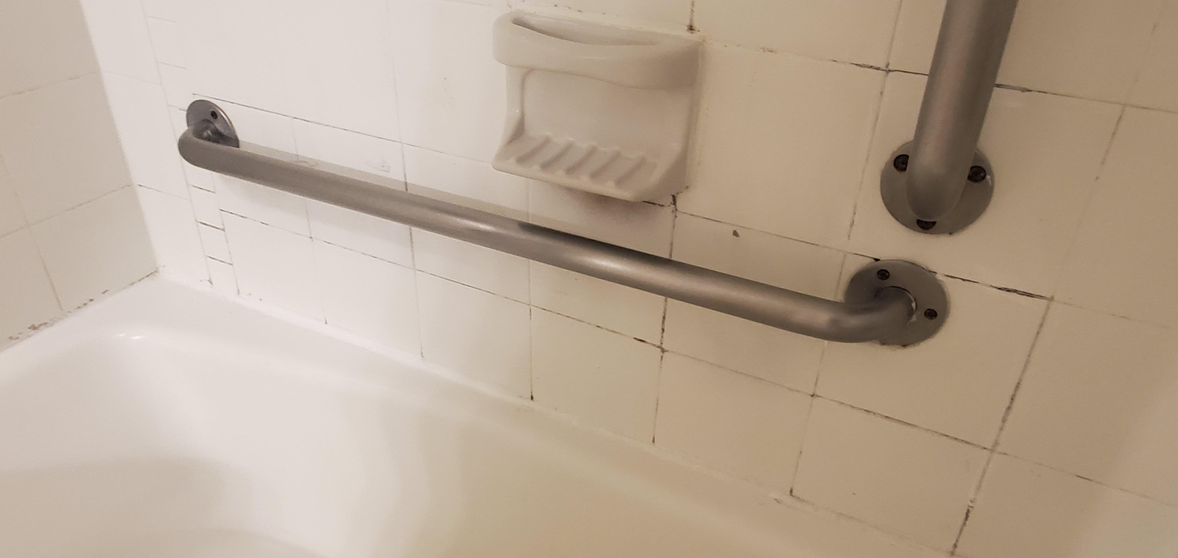 Filthy grout in shower