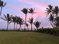 Morning backyard view