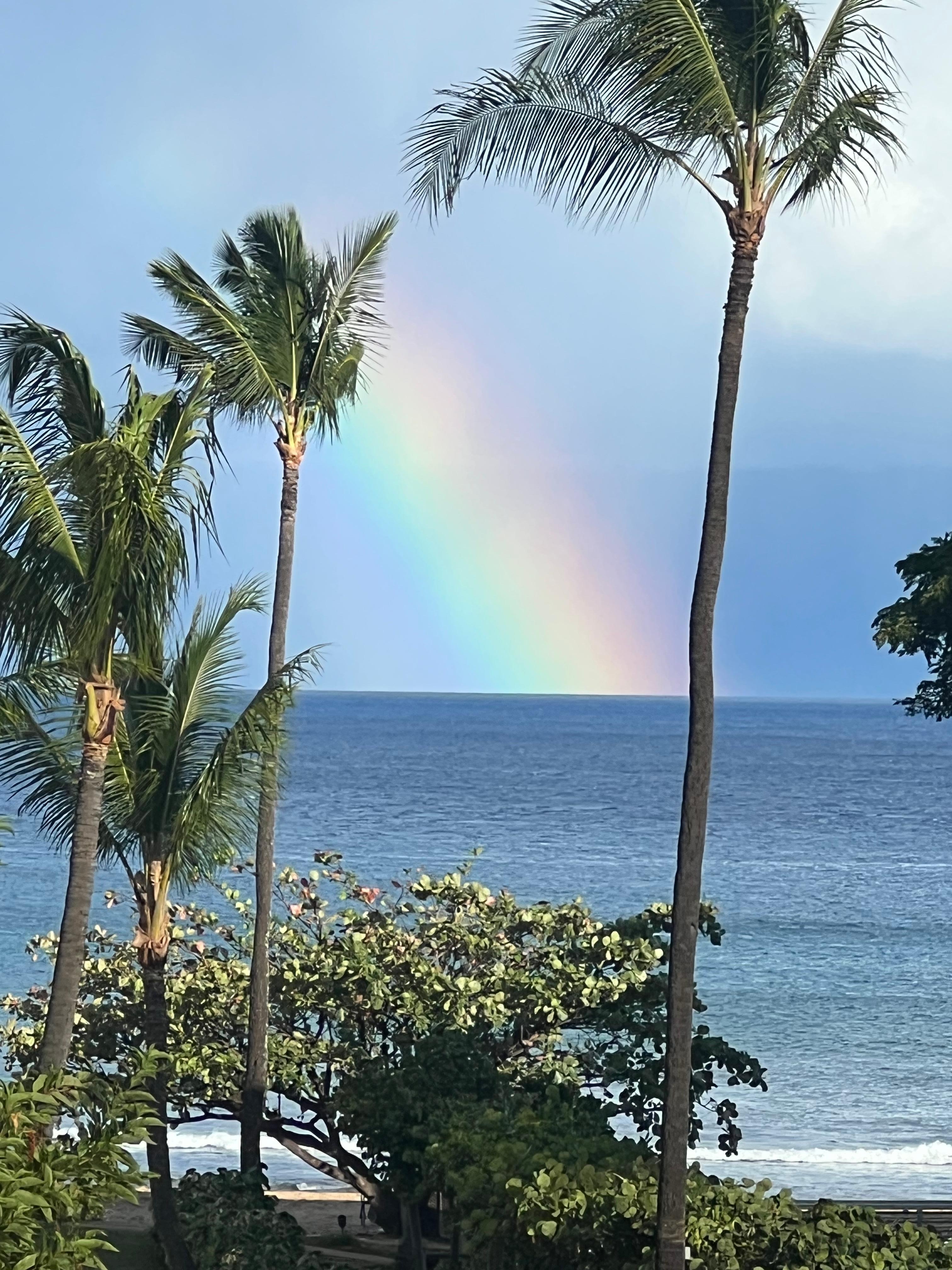 Rainbow from the lanai