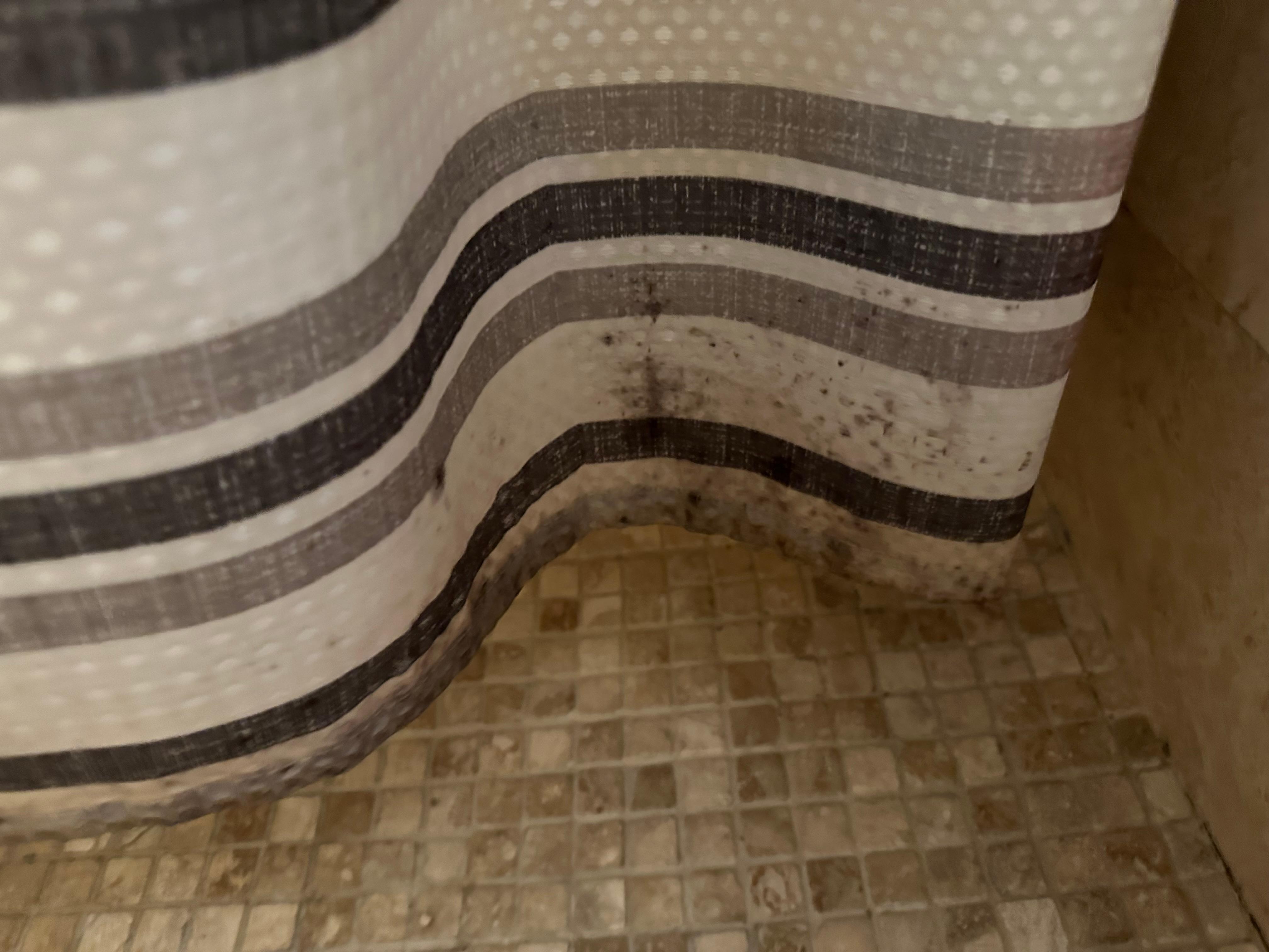 Mold on shower curtain in master bath - more on liner not shown