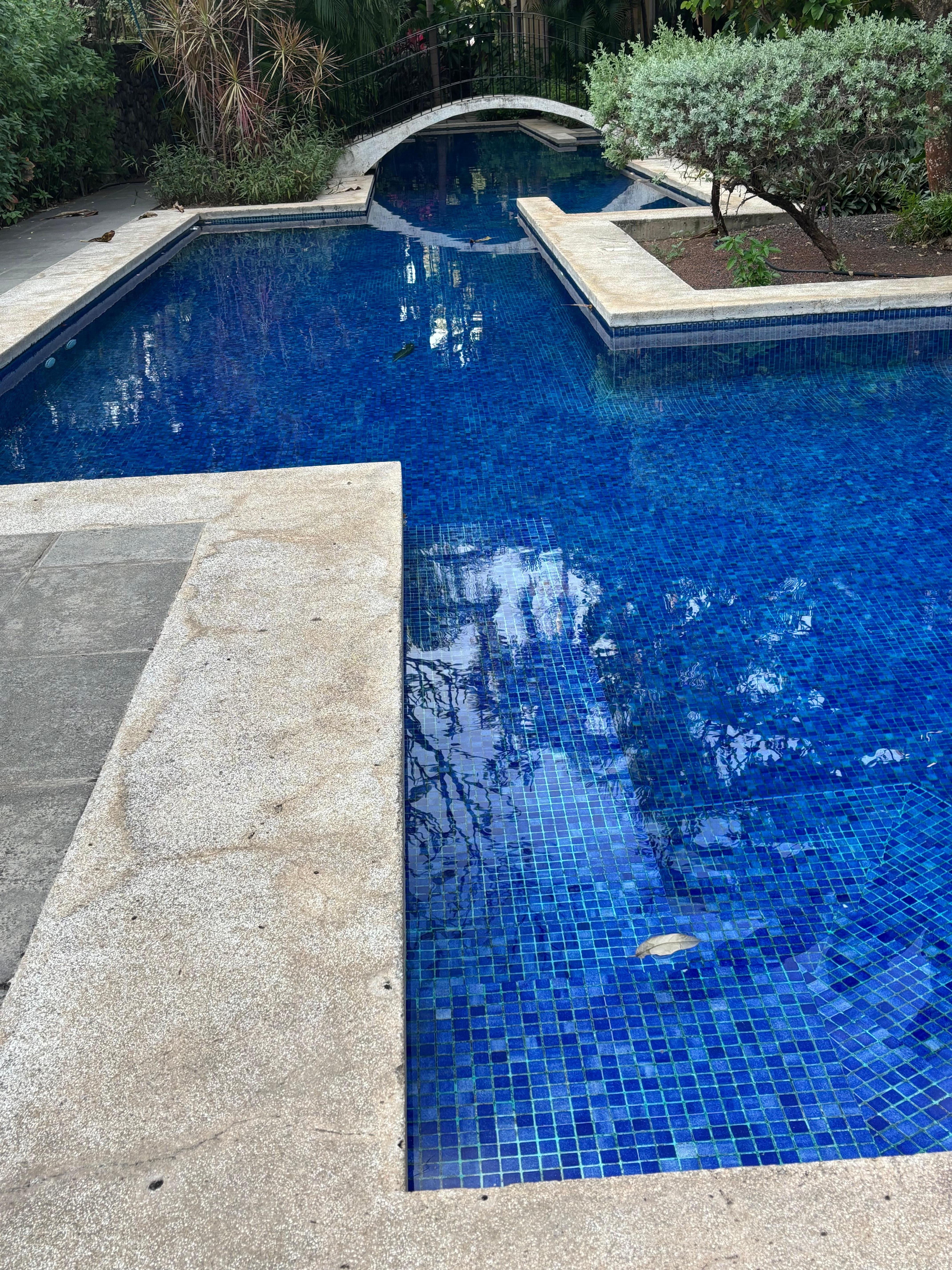 The lovely freshwater pool that I swam in every morning!