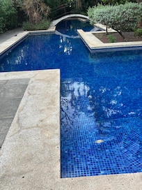 The lovely freshwater pool that I swam in every morning!