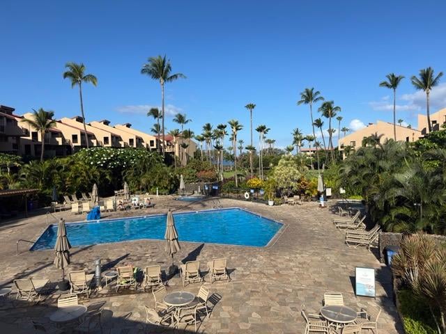 Overview of pool area