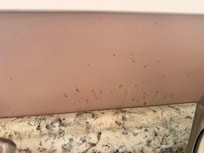 Spiderwebs and dust everywhere