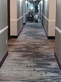 Excessiveworn carpet, musty and hot in hallway. The elevator is old and inspection sticker appears false.