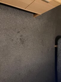 Filthy carpet