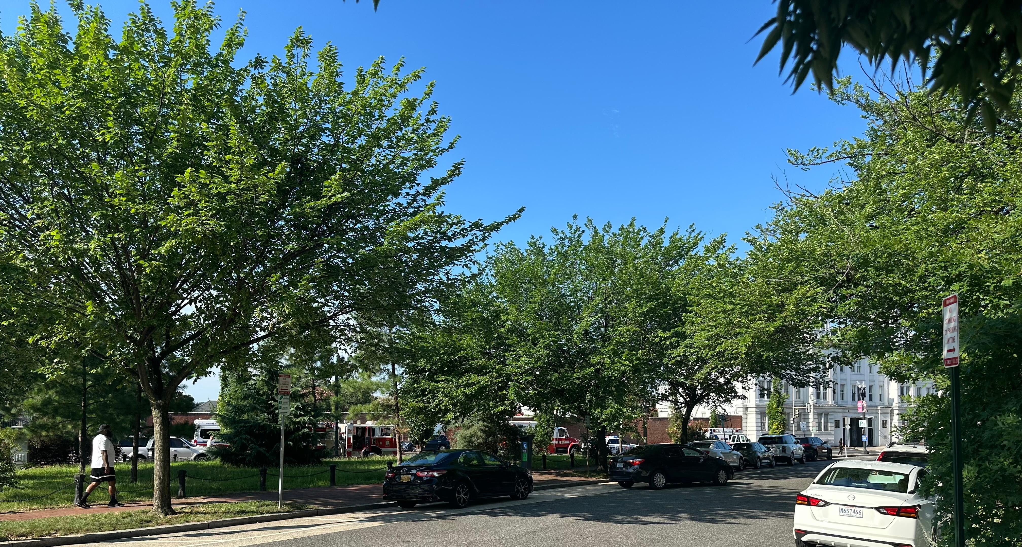 Located in an area with trees adjacent Navy Yard close to Harris Teeter