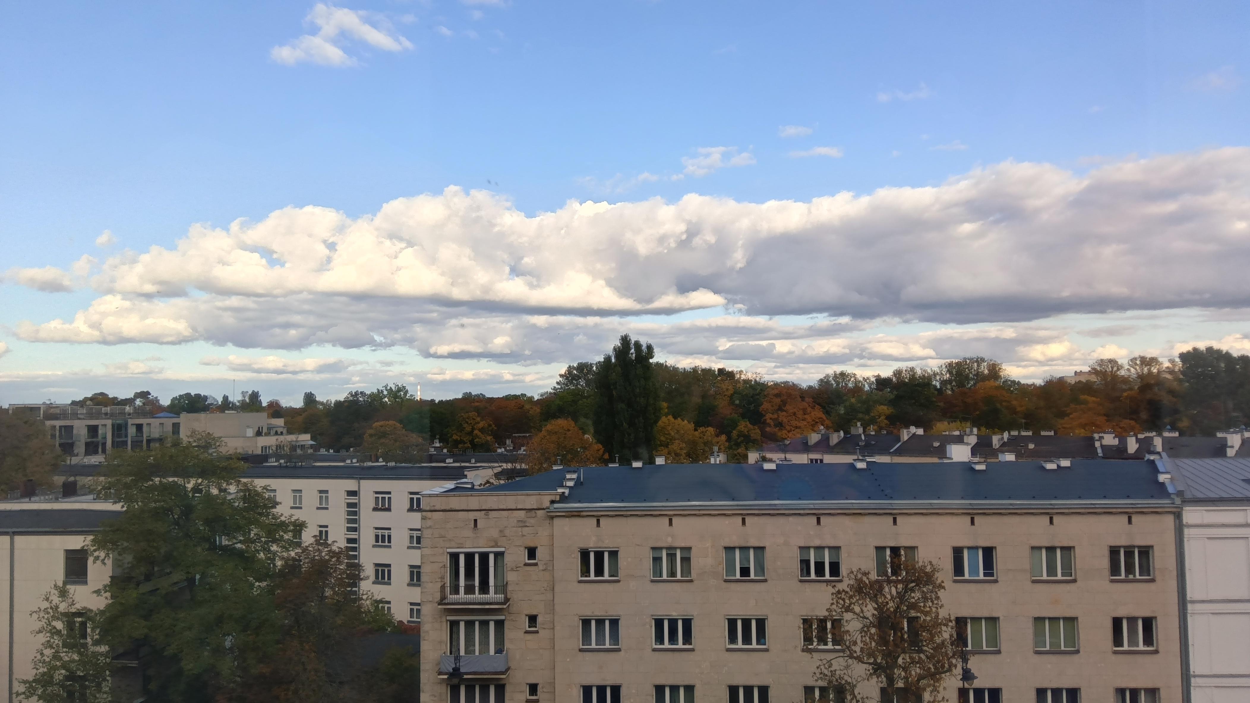 パークビューの部屋の眺め