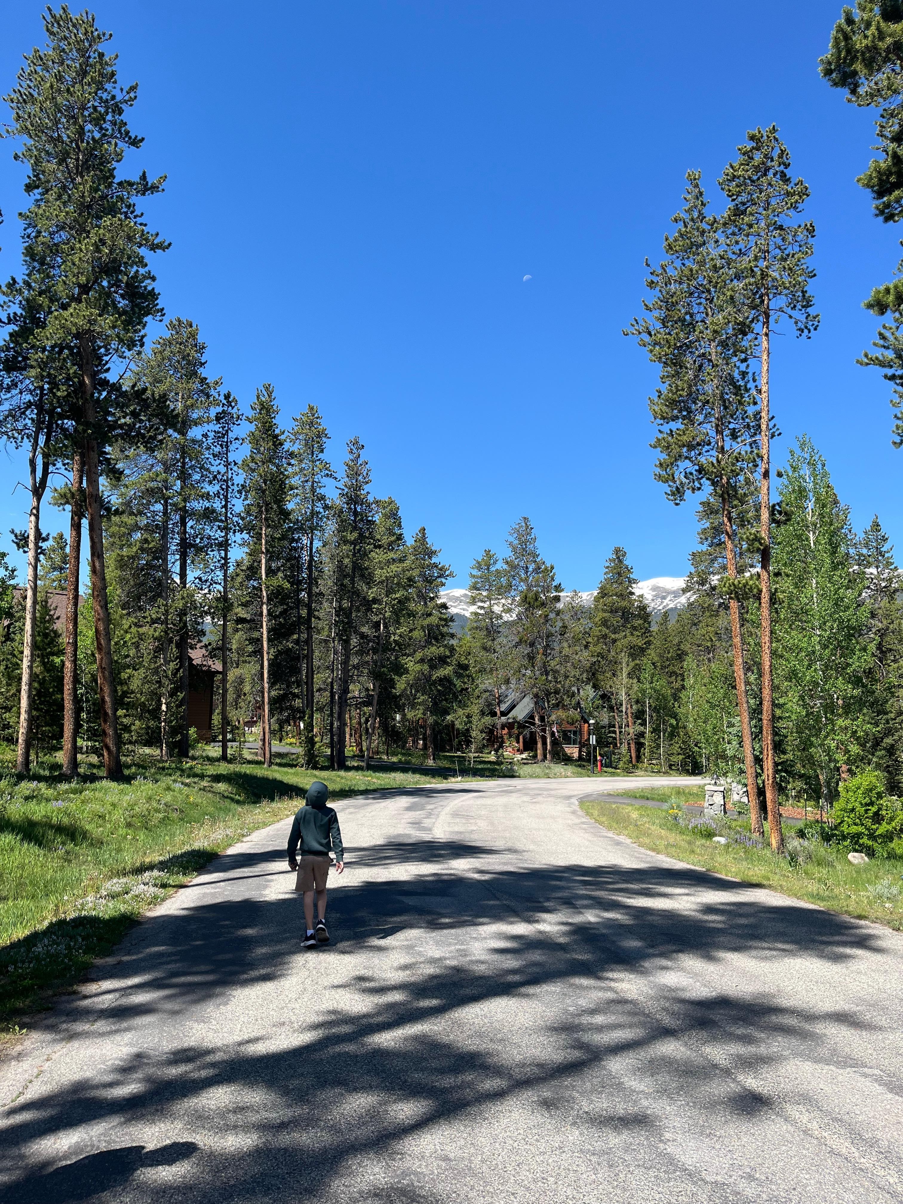 Walking in the neighborhood 