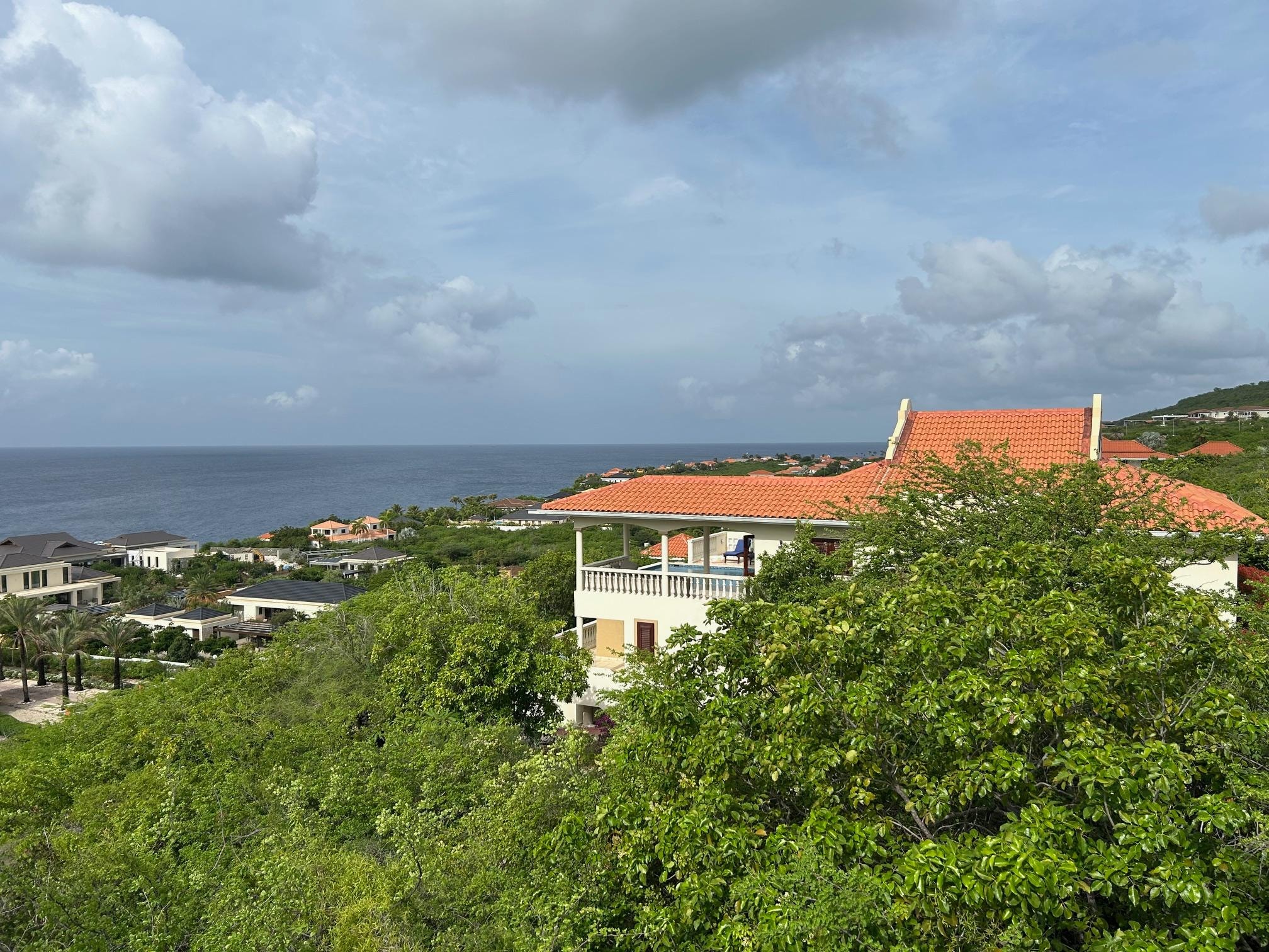 View from the neighbor's driveway