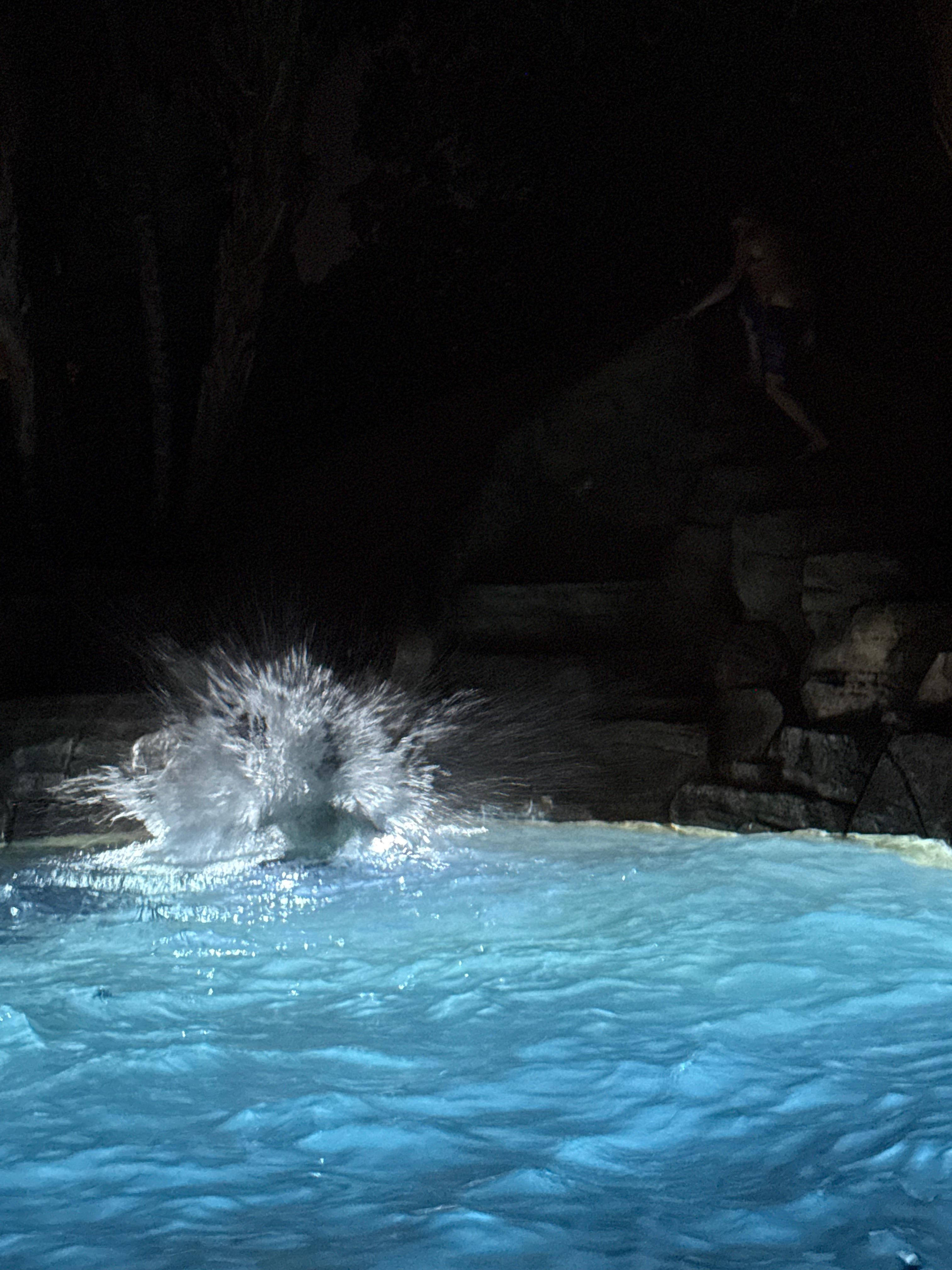 Fun splash. The kids had a BLAST!!