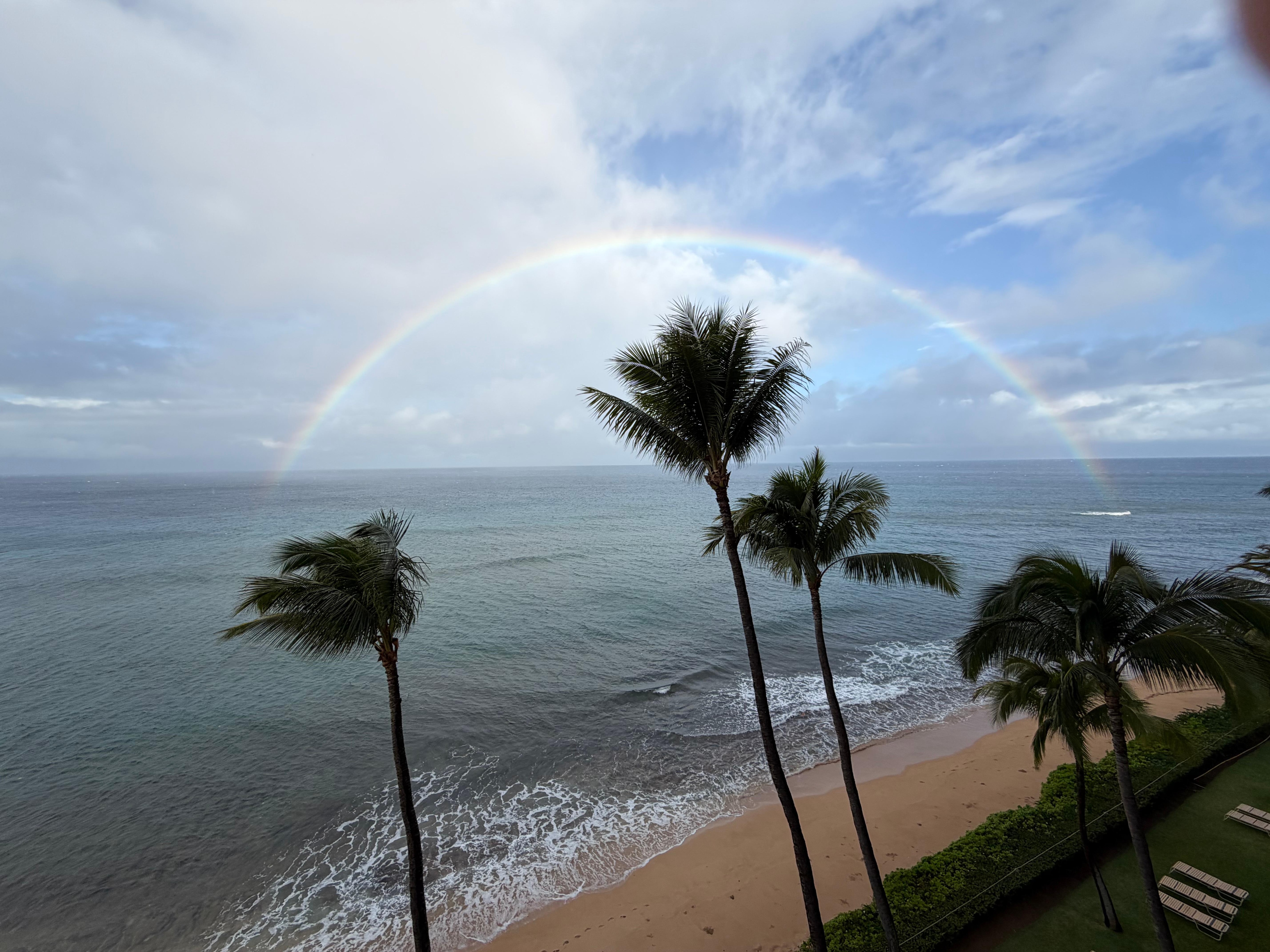 Beautiful view from the room. 