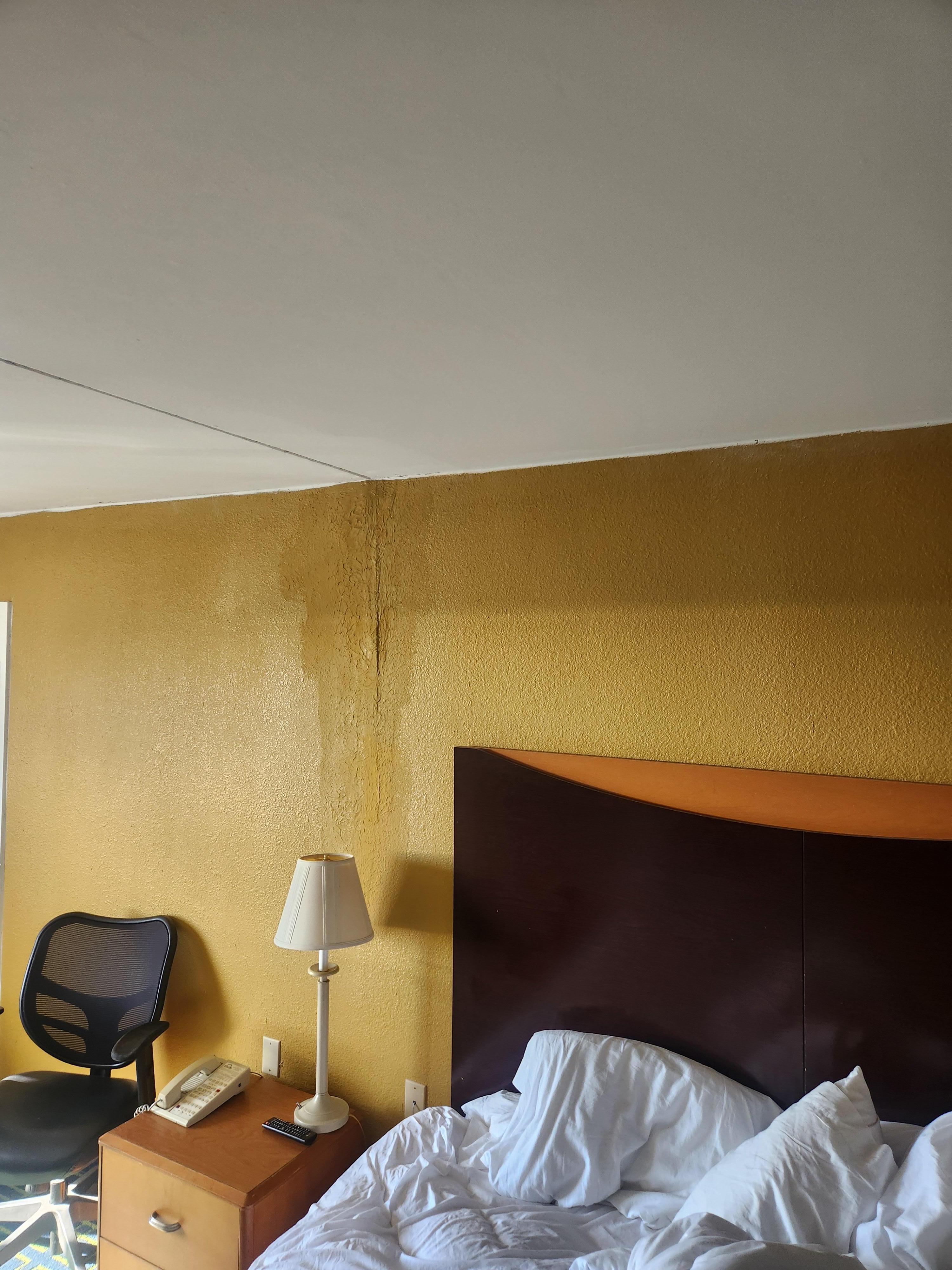 Best wall in the king suite