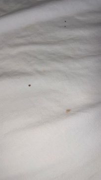 Blood Stains