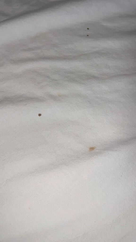 Blood Stains