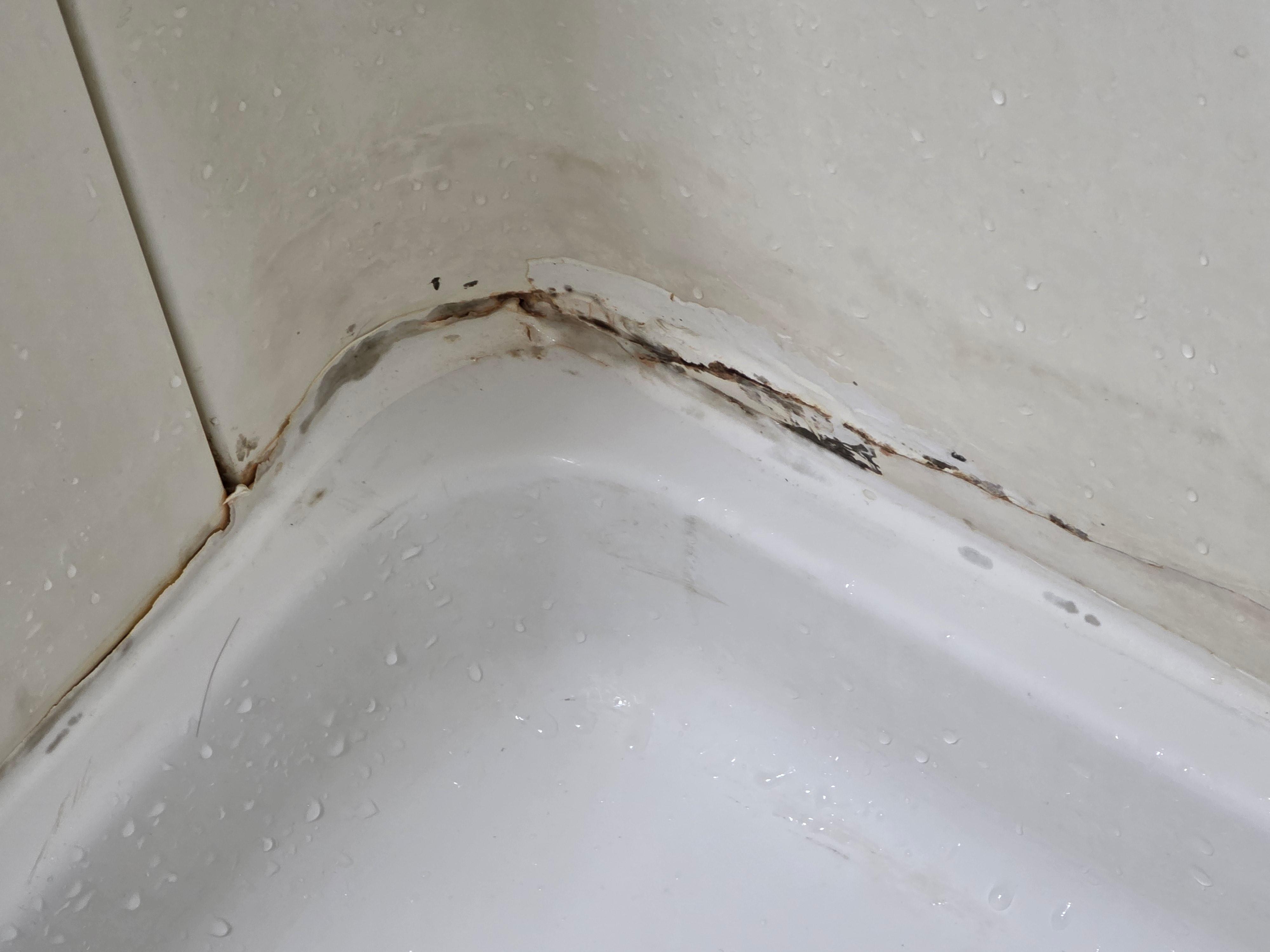 Shower area disgusting.