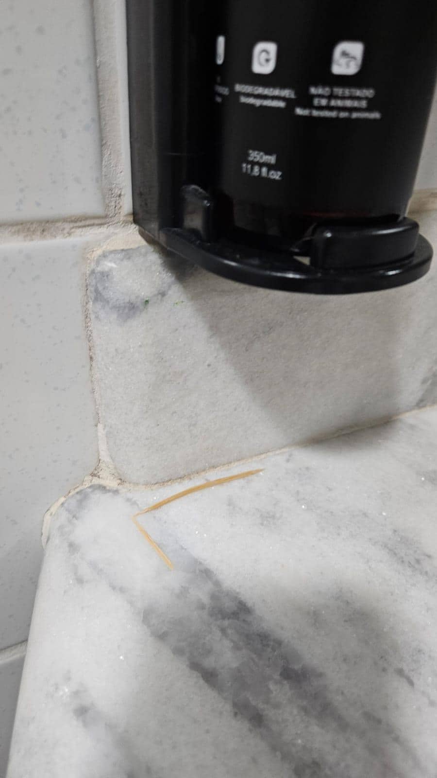 Palito de dentes esqueciso pelo hóspede anterior o que me leva a perguntar: houve adequada higienização no banheiro e quarto?