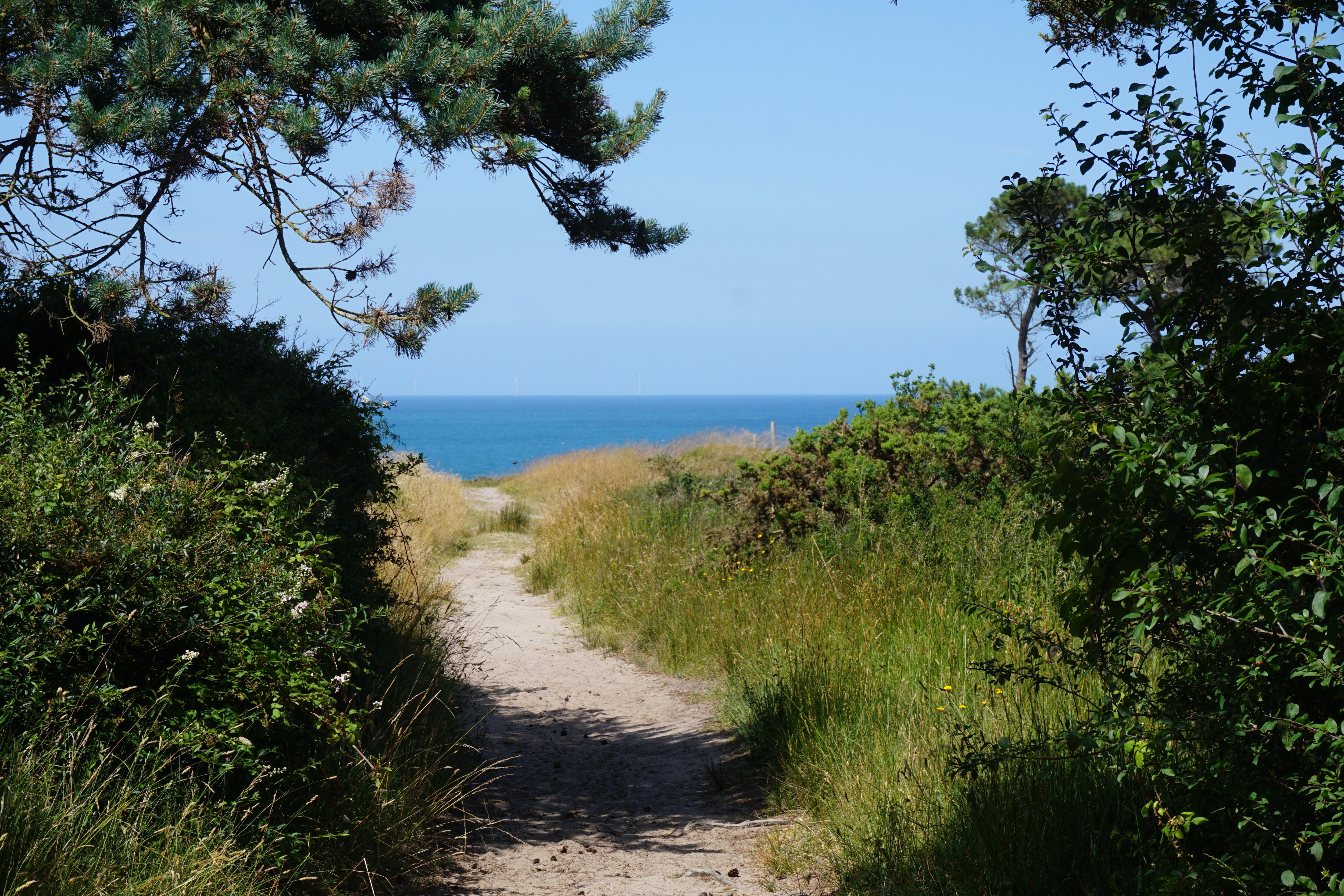 Découverte du cap d'Erquy