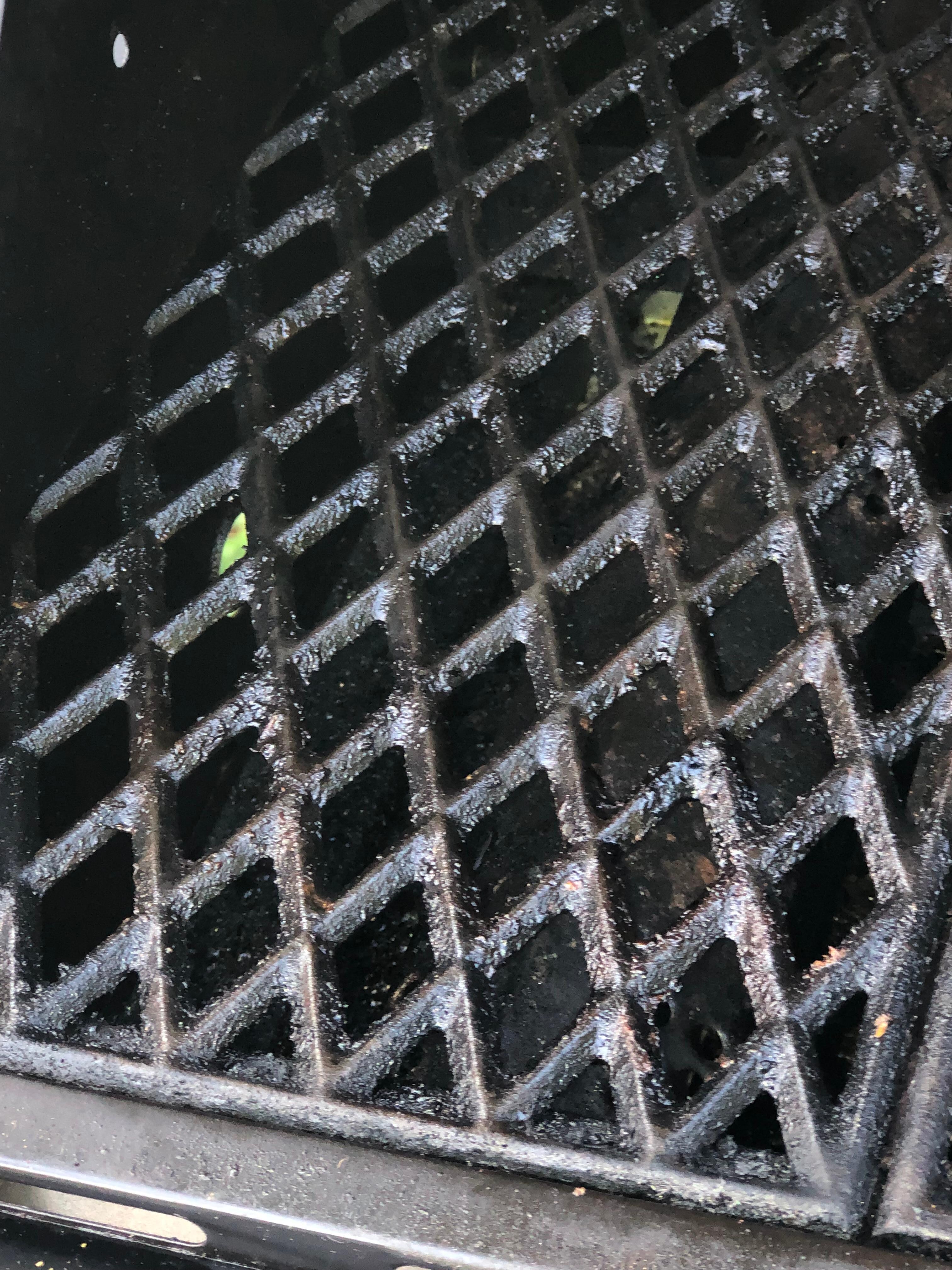 Grill horribly clean and had fish skin all over it before we  cleaned it 