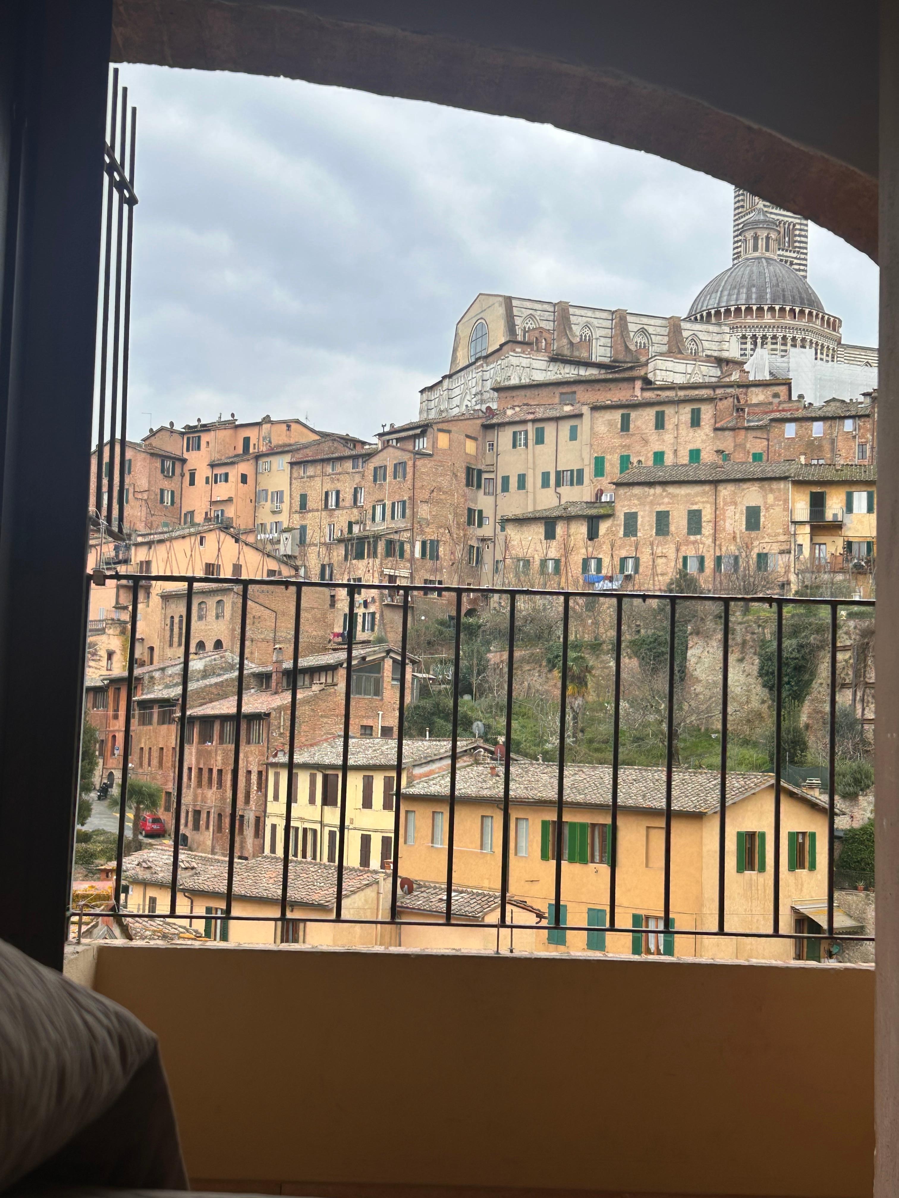 View from the bed. Didn’t even have to stand up to enjoy it. 
