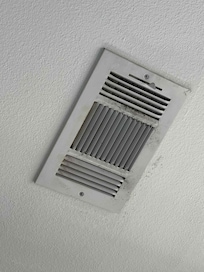 Mold on the air vents.