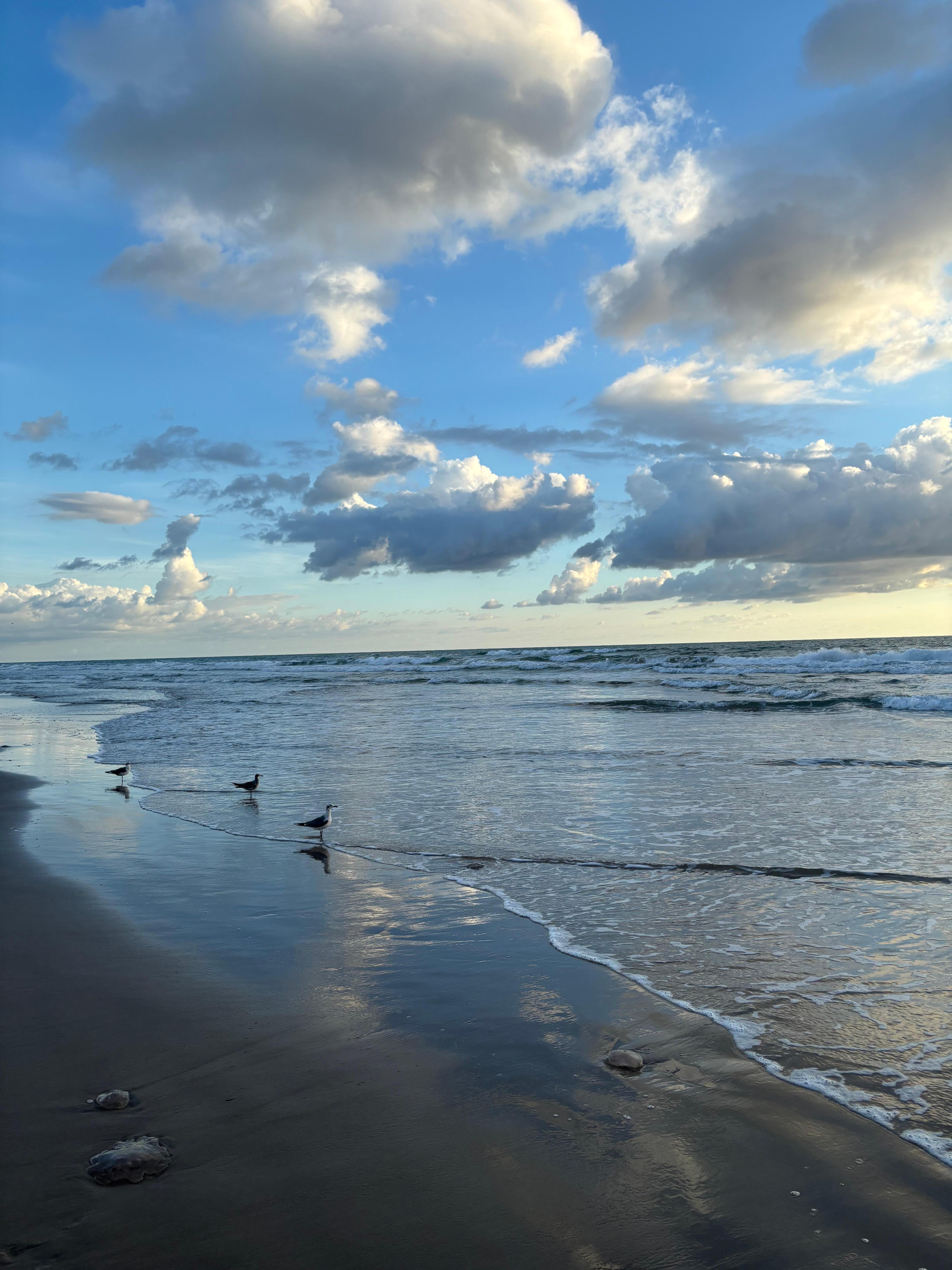 Beach in front of condo