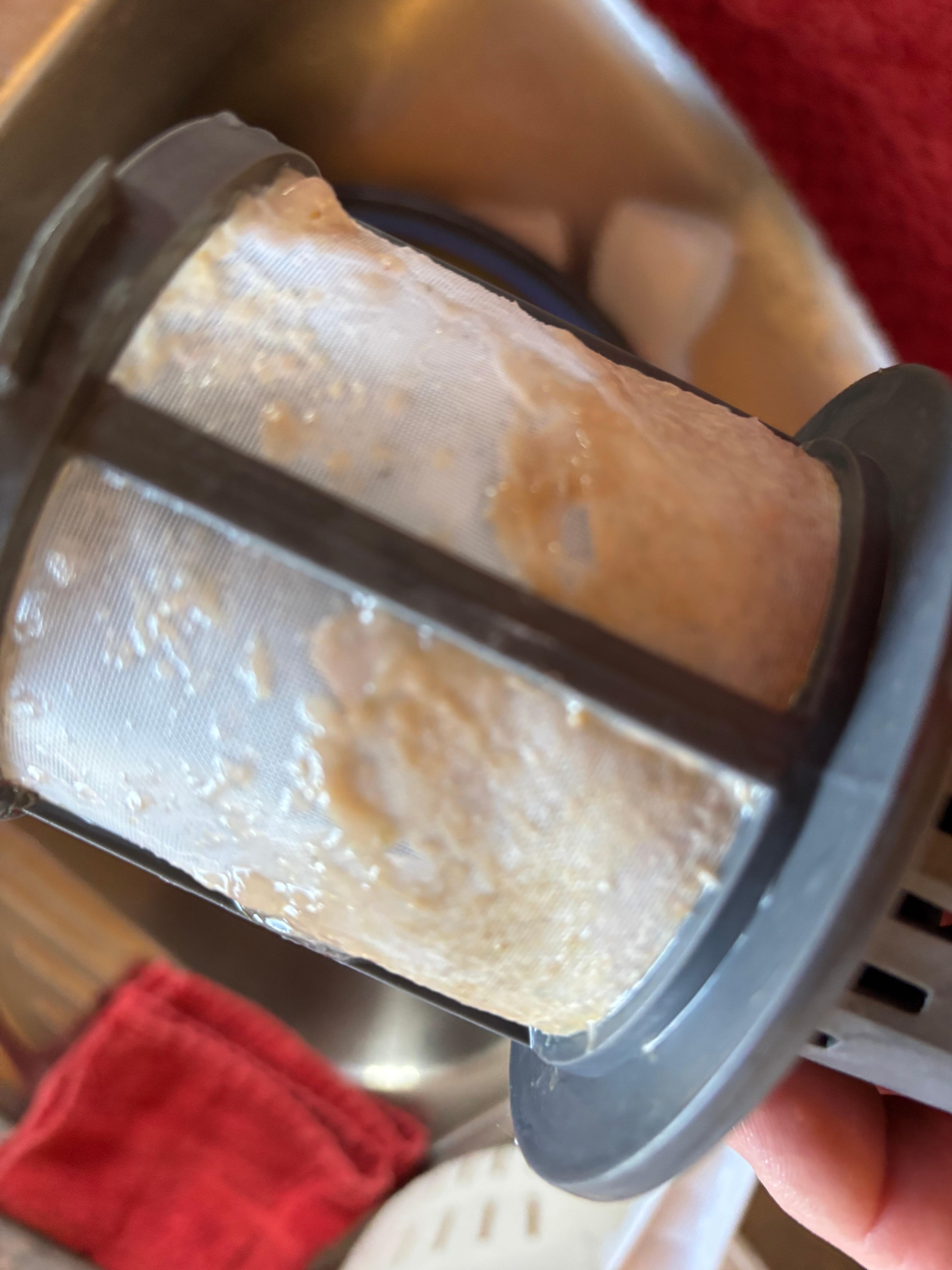 Dishwasher filter was a solid block of growth. 