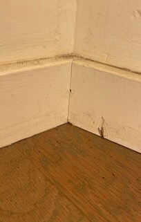 Most floor corners had dirt webs and dead bugs. Wasn’t cleaned in a while.