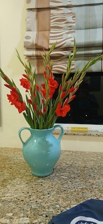 Empty Vase provided. I did the flowers