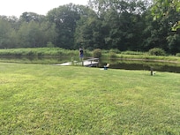 The pond.