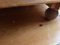 Dog hair and crumbs on the floor from previous guests