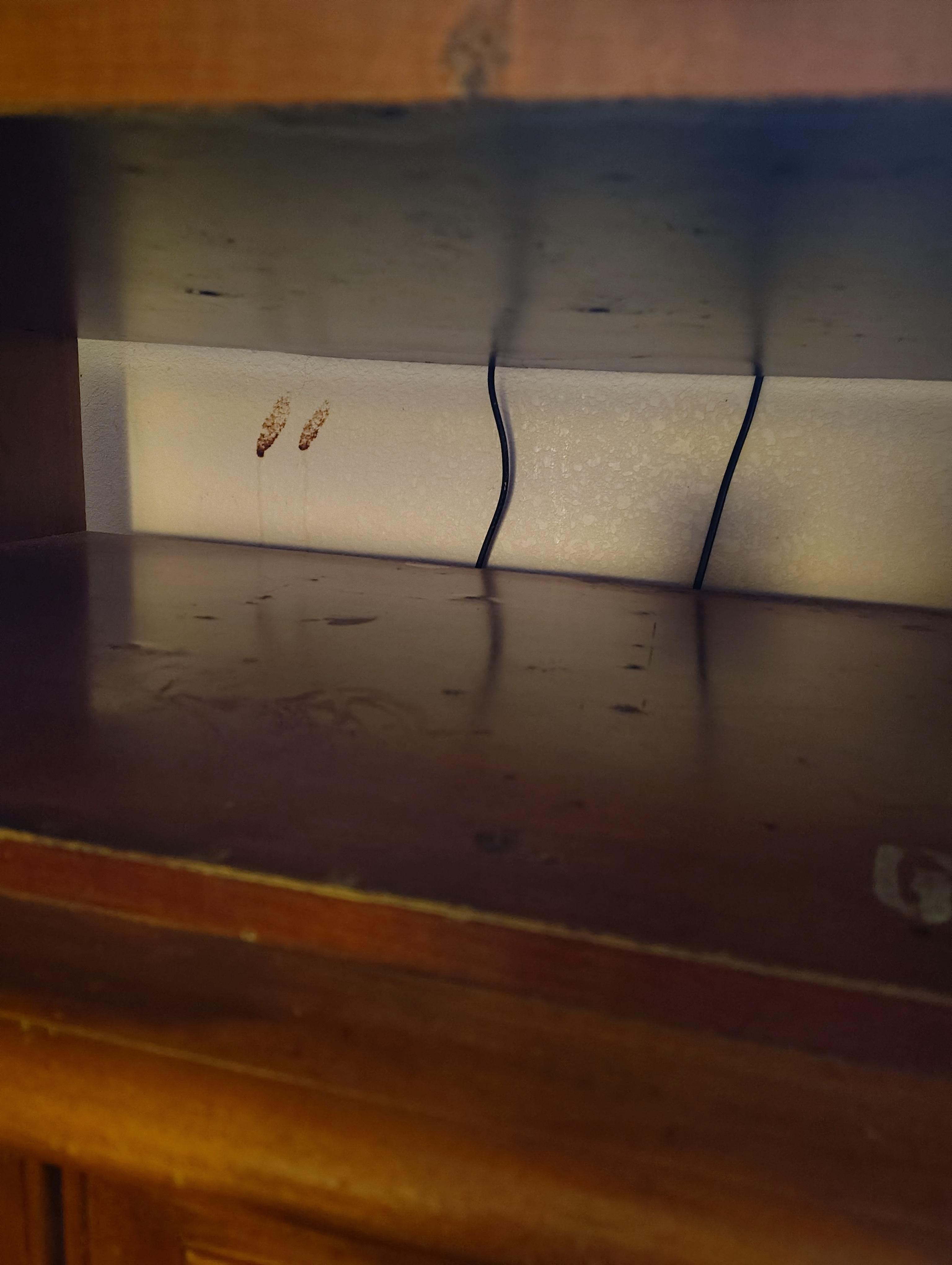 A couple of dried blood smears and a filthy tabletop. The rest of the room was similar in condition.