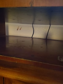 A couple of dried blood smears and a filthy tabletop. The rest of the room was similar in condition.