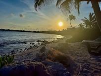 Taken from the private beach