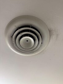 Moldy vent fan in bath