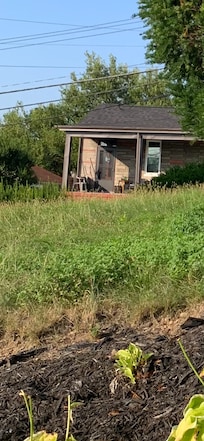 Grass in yard not been cut in a month