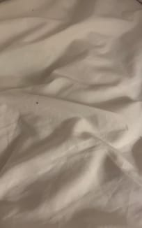 Little ants on the bed..