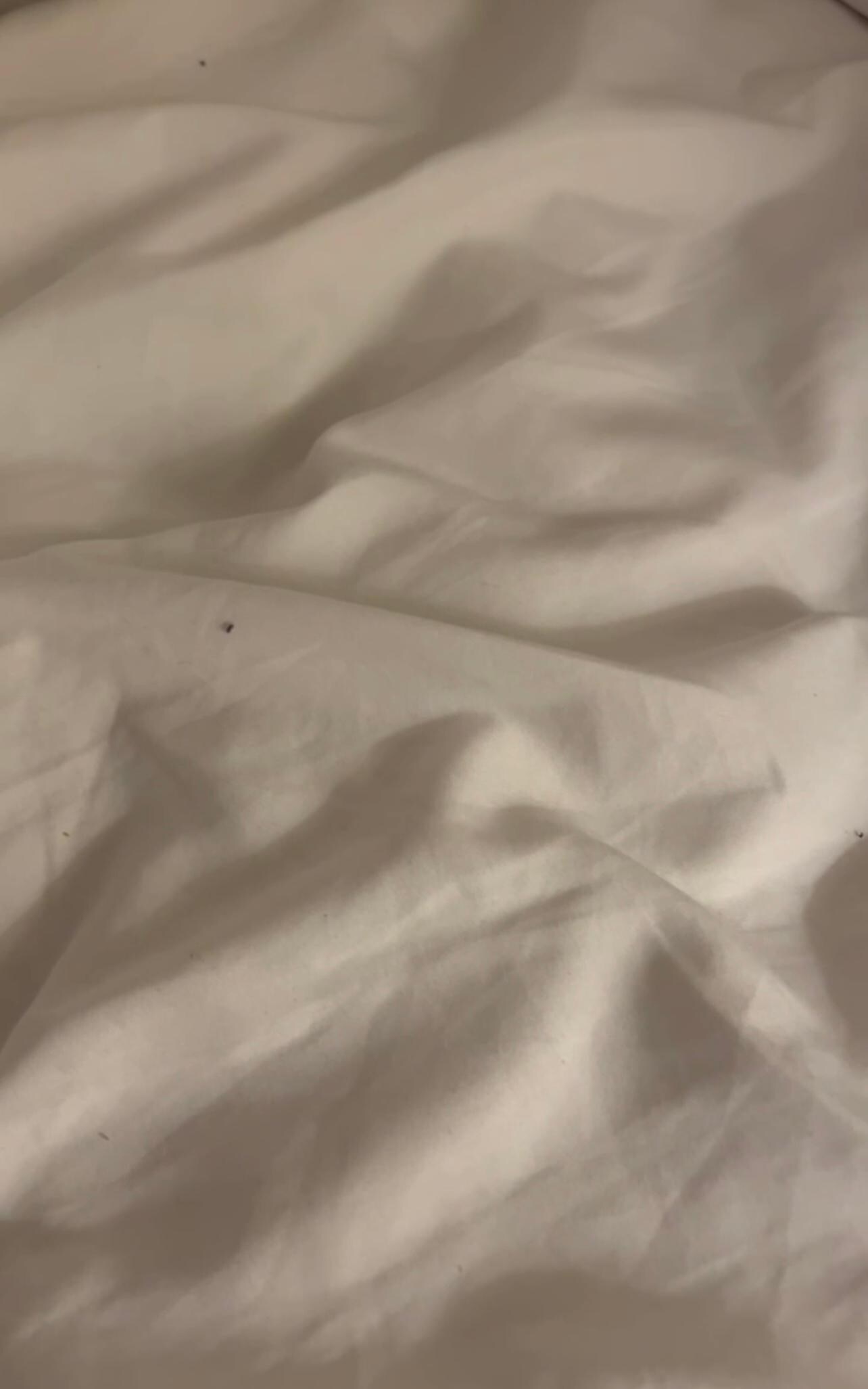 Little ants on the bed.. 