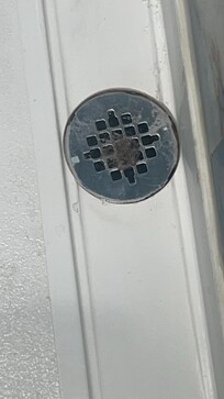 Mold in tub drain with gunk