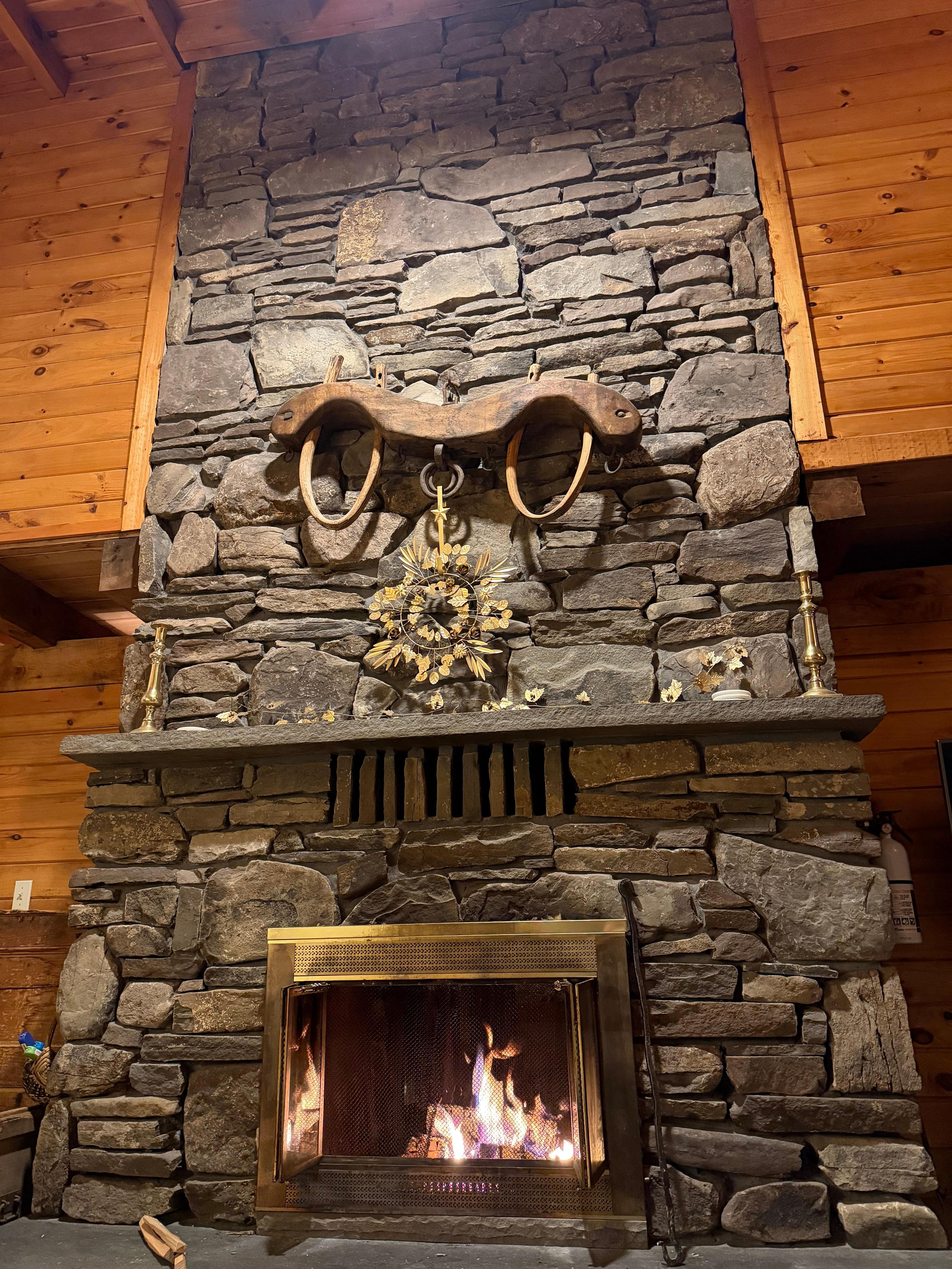  Beautiful fireplace that opens to the living room on one side and the first floor bedroom on the other!