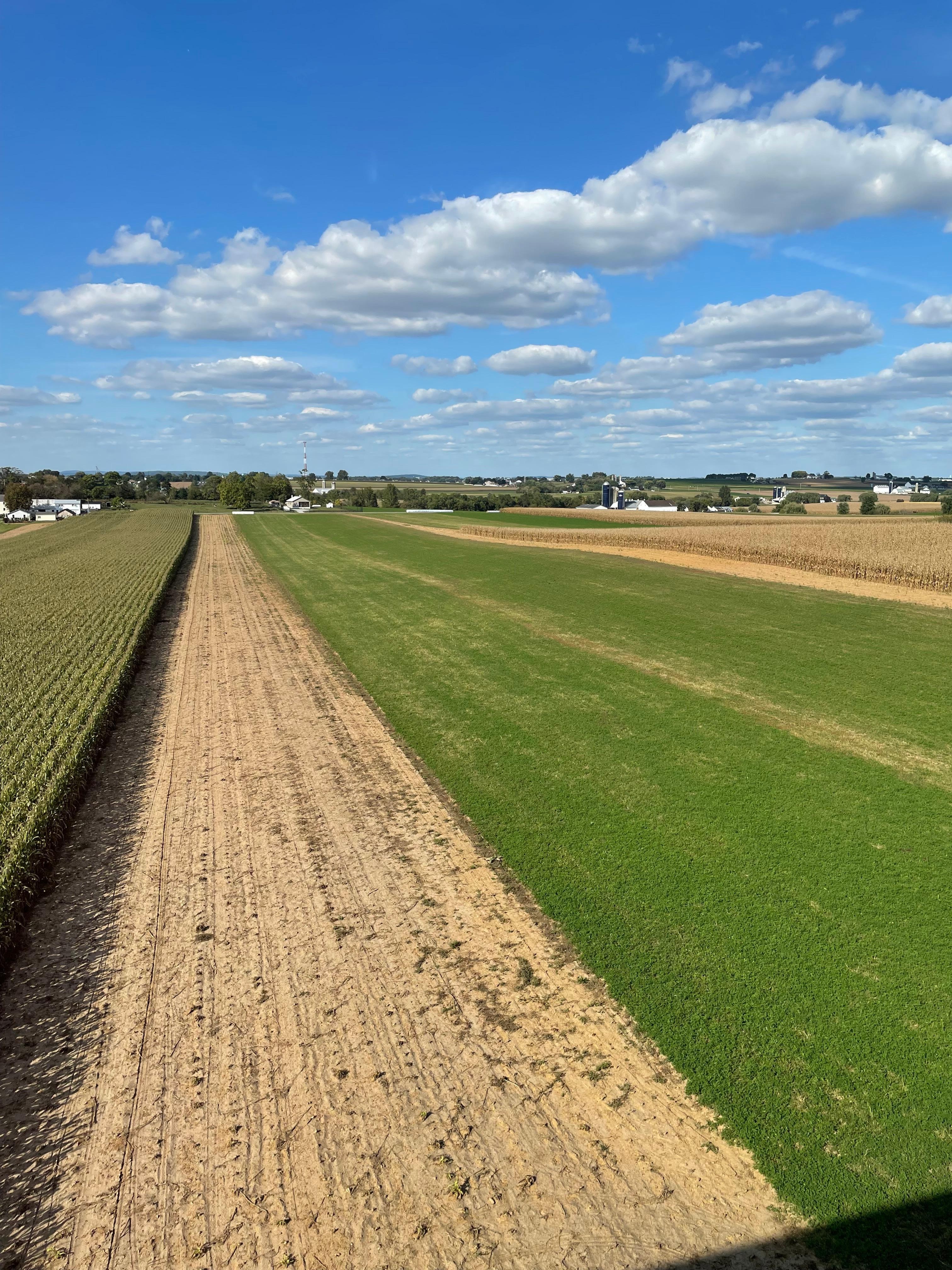 View from our 5th floor room!