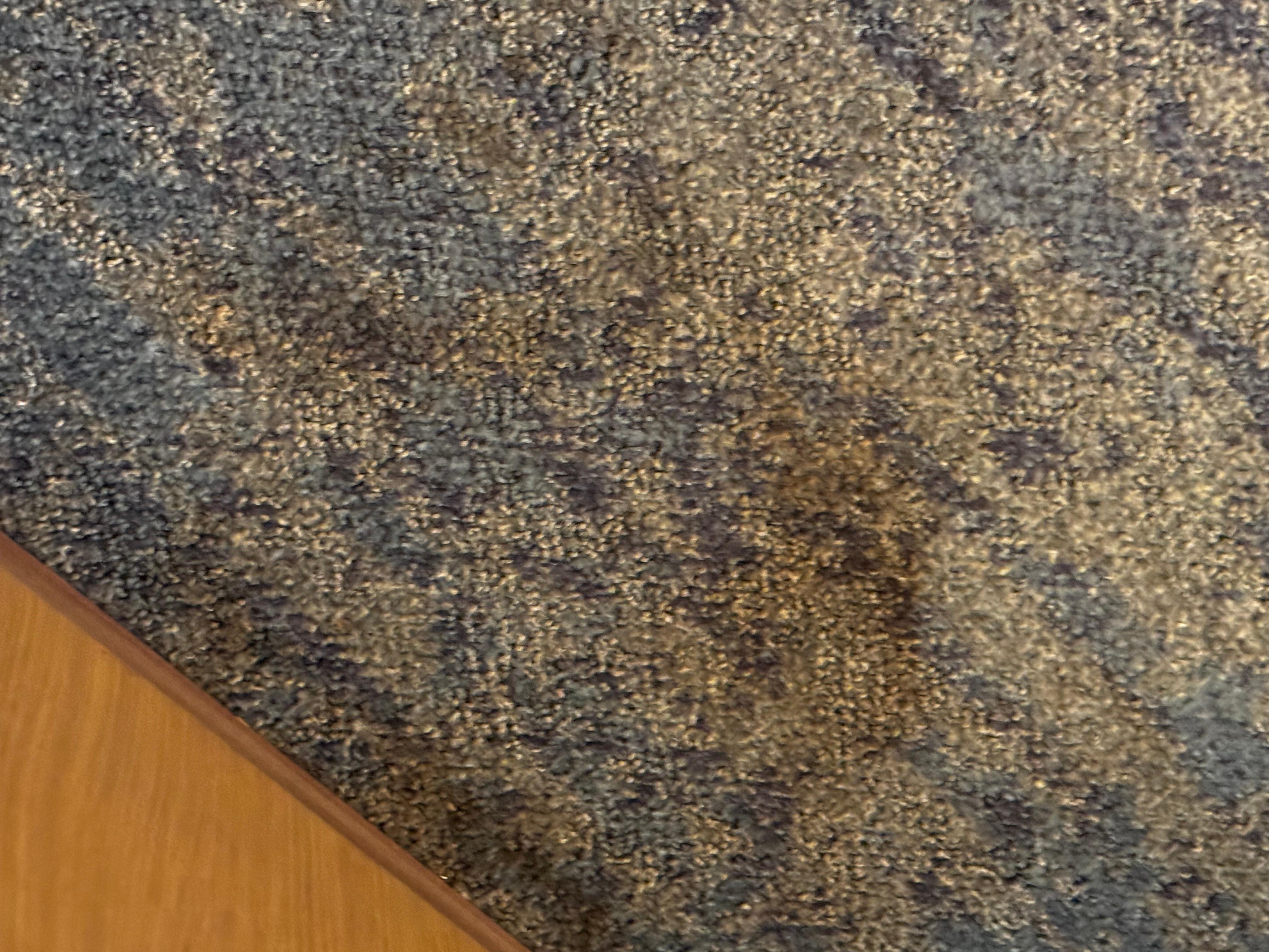 Soiled carpet