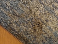 Soiled carpet