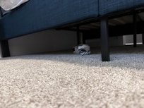 Someone else’s socks!!