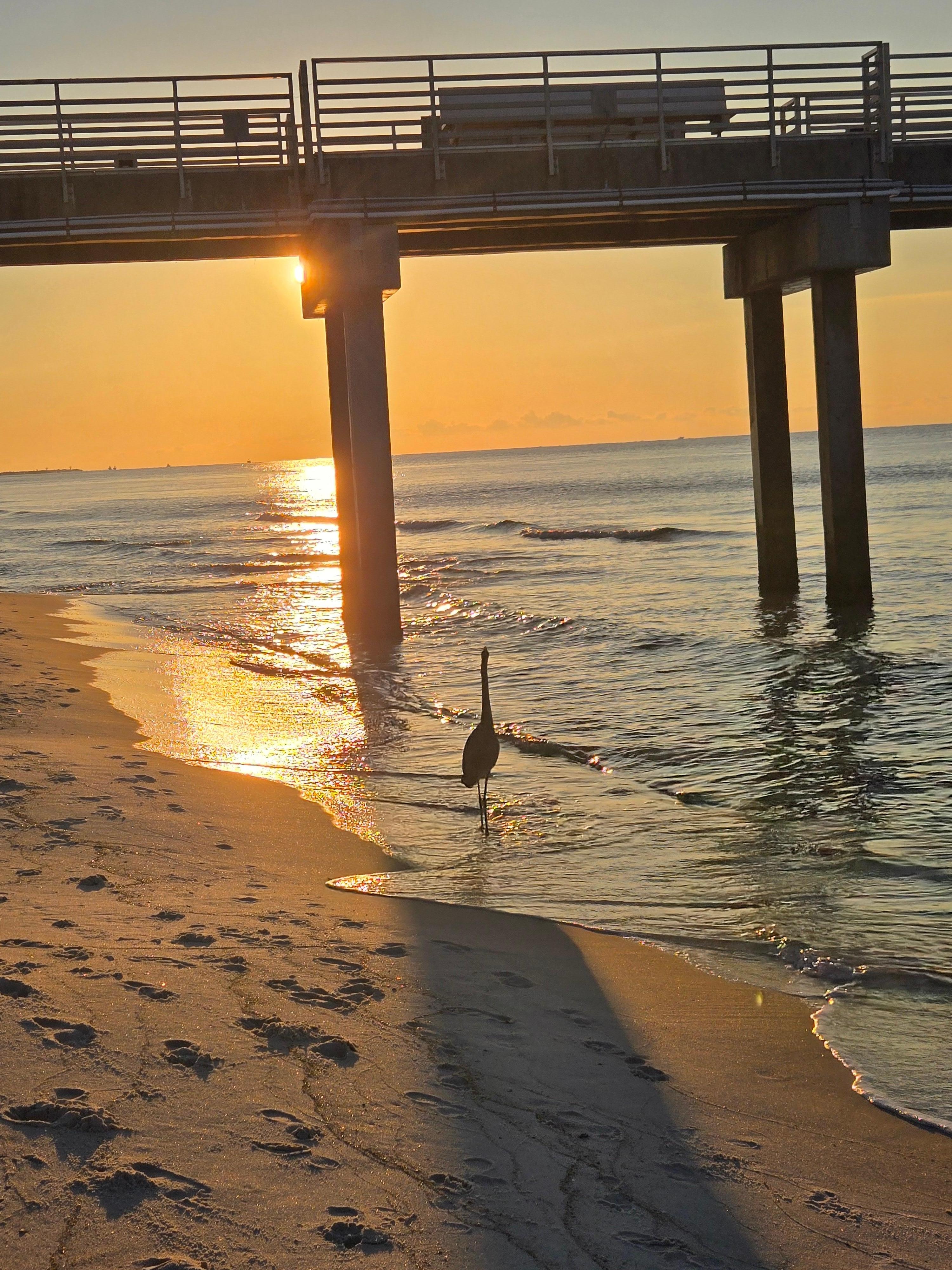 From the beach looking left to pier