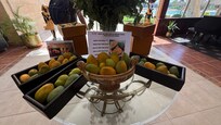 Mangos season…. Love the mango juice