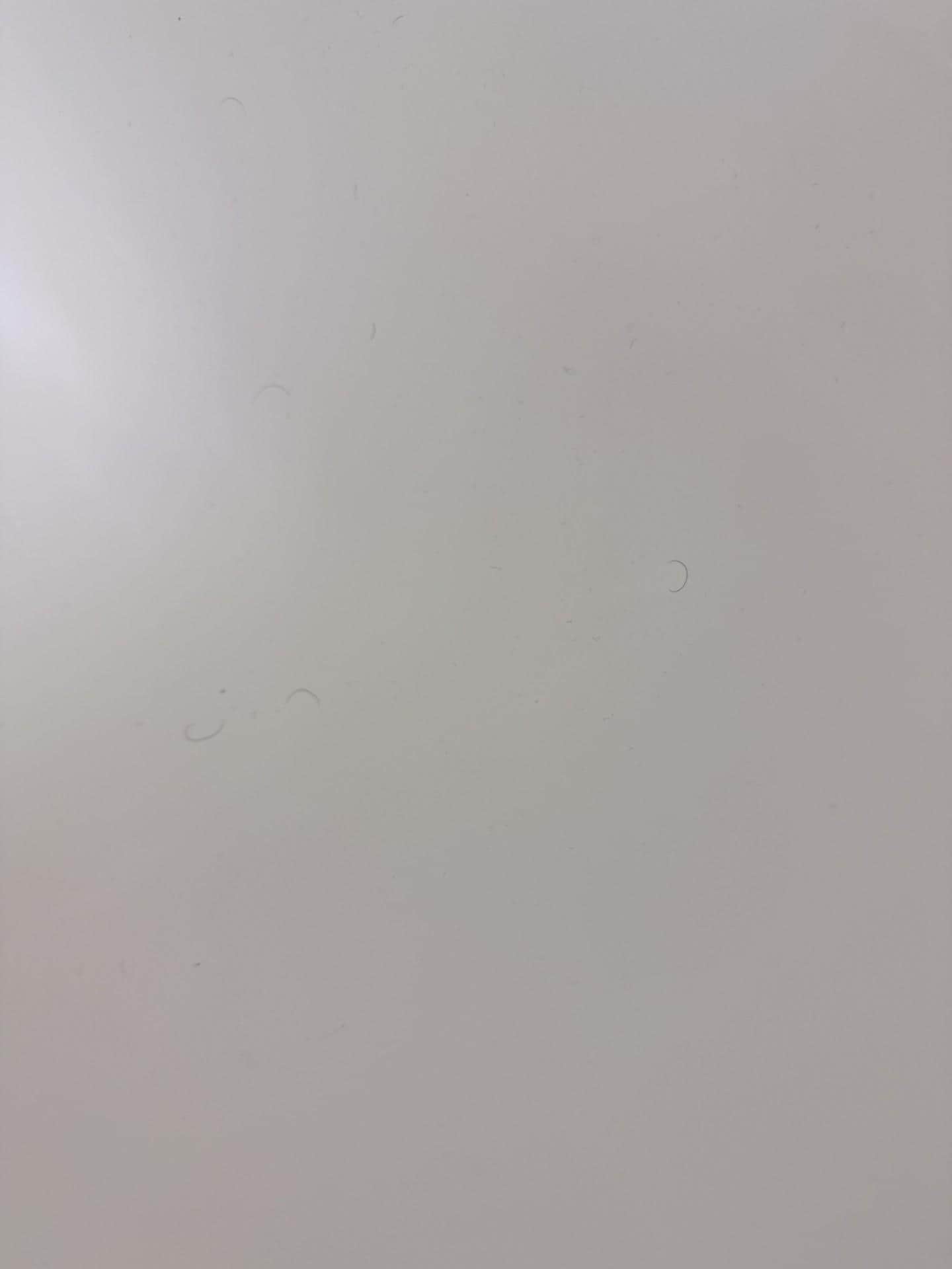 Black Hairs around the bathroom 3