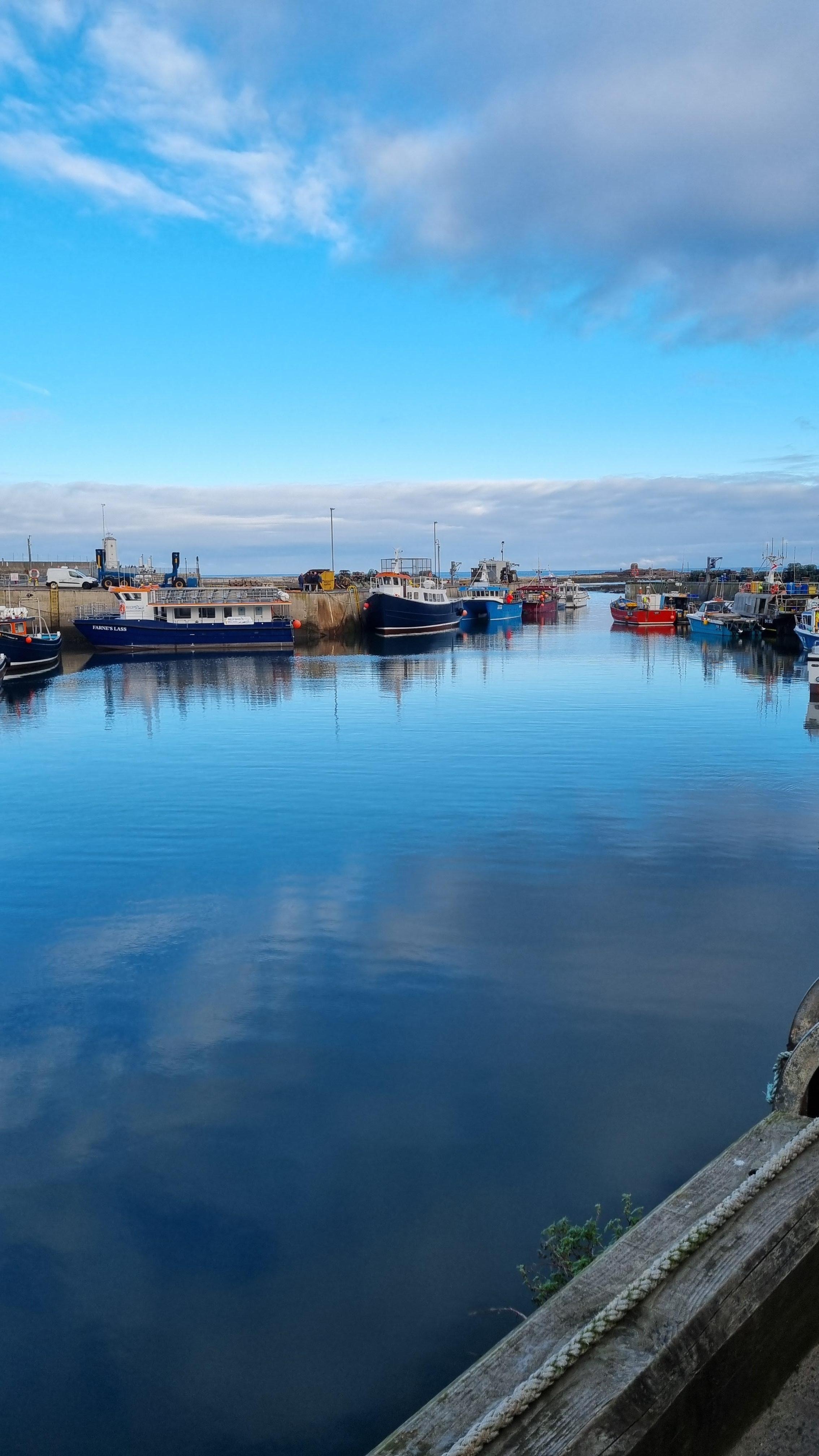 Seahouses harbour 