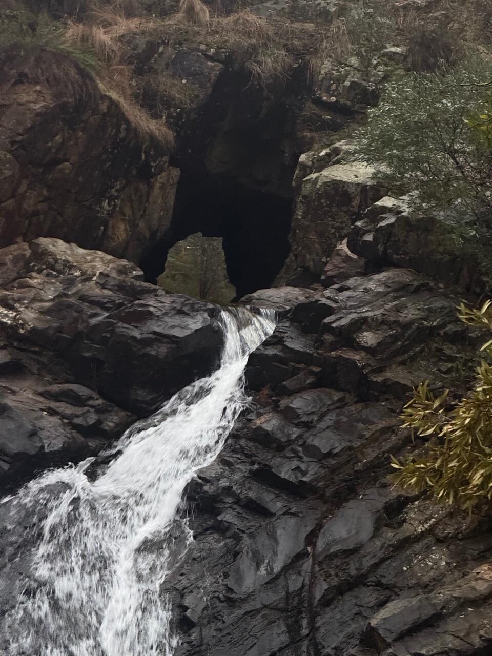 The Blow Hole (10 min drive away)